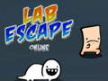 Játék Lab Escape Online