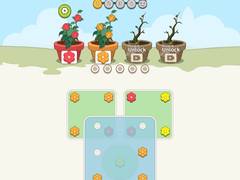 Játék Flower Collection