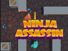 Játék Ninja Assassin