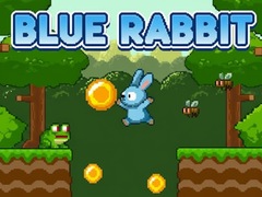 Játék Blue Rabbit